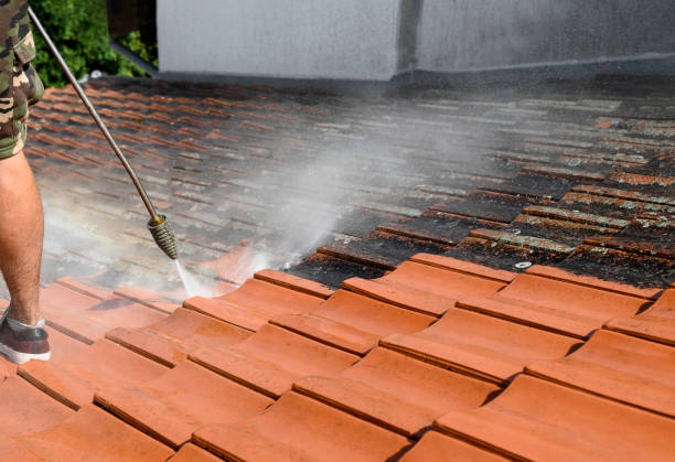 Best Affordable Pressure Washing  in Windsor, NC