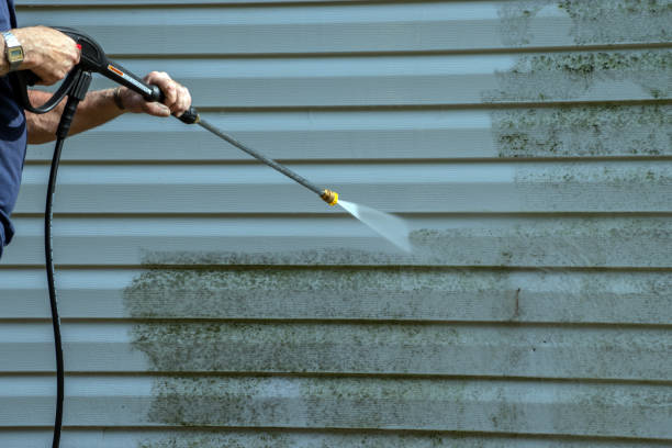 Best Roof Pressure Washing  in Windsor, NC