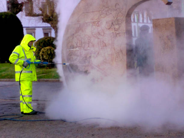 Best Local Pressure Washing Services  in Windsor, NC